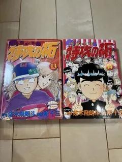 Item thumbnail for item 9b4c5c68-5307-4c37-914a-e8a72d978d0e