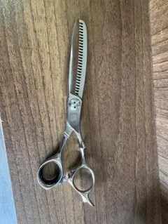 トギノン　ダイナザウルス　美品 ダイナザウルス - TOGINON