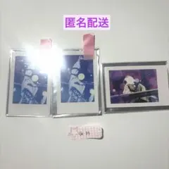 いれいす 悠佑 初兎 実写チェキ 3枚セット