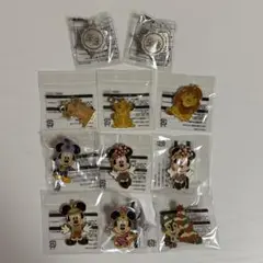 ディズニーメタルピンズ 11個セット