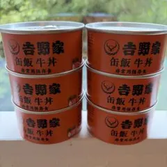 吉野家 缶飯 牛丼 160g×6缶 保存食 賞味期限2029/09