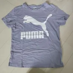 PUMA プーマ薄紫 半袖Tシャツパープル