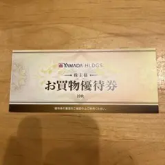 ヤマダ電機YAMADA HLDGS. 株主優待券 5,000円分