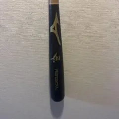 Mizuno PROFESSIONAL BFJ 硬式バット