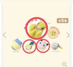 ポケモン まるくなる ガチャガチャ