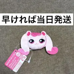 キャッチ！ティニピン　パチュピン　ぺたんこフェイスちびマスコットのサムネイル