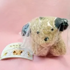 ★新品・匿名配送★ maruのてのひらわんこのぬいぐるみ（ブラウンmix）