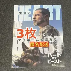 ハート・オブ・ビースト　フライヤー　チラシ