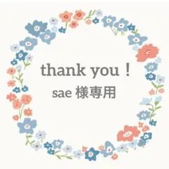 sae様 リクエスト 3点 まとめ商品