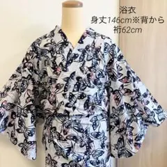 Item thumbnail for item 63bdea16-5fc3-4a6e-88e1-9f2593943e66