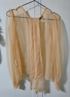 ZARA シアートップス+リボン