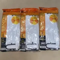 Item thumbnail for item 910a5582-8409-4d36-8ac3-d1fca67ed663