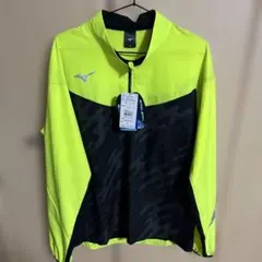 Item thumbnail for item 73657ab4-0273-452e-8450-4529091e9e3e