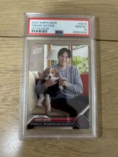 【PSA10】大谷翔平 デコピン MVPカード 2023【24時間限定発売】 大谷翔平 MVP記念 デコピン Toppsカード - メジャーリーグストア