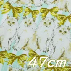 Item thumbnail for item cd1eec5c-56d8-4f90-9de4-7165e9ee1d14