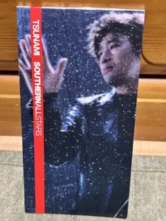 2025年最新】サザン TSUNAMIの人気アイテム - メルカリ