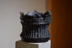 RUINS 3Dプリンター鉢　4号鉢　作家鉢　アガベ　コーデックスのサムネイル