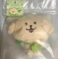 2025年最新】STeADY md ジェヒの人気アイテム - メルカリ