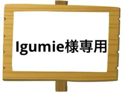 Igumie様 リクエスト 2点 まとめ商品