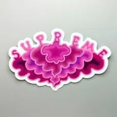 supreme小物