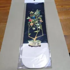 Item thumbnail for item c03f491b-c560-4e8e-b2bf-0f1bee22b461