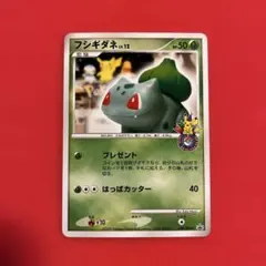 ポケモンウィークリーカード NO.24 フシギダネ、友情のつるの傘 - メルカリ