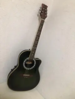 REEDMAN　エレアコ　アコースティックギター　RM-501 Reed Man 501 エレアコ TOKYO IN JAPAN ??? : 鈴木宏治のブログ