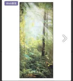 SUKALA 【新品未使用】ラバ　森の風景 ヨガマット　コモレビ