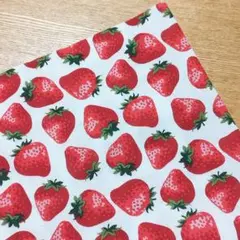 《50×70》いちご柄 ストロベリー 入園準備 はぎれ 布 生地