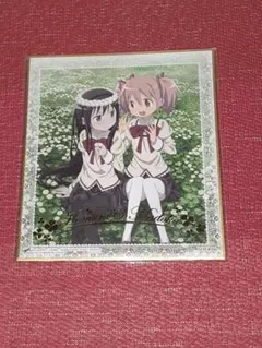 ◼︎魔法少女まどか☆マギカ 新編 叛逆の物語 色紙 暁美ほむらHG-1100