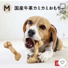 Item thumbnail for item 5de5a48b-6dcc-4b92-8ec0-e02b393a3dee