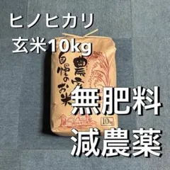 特品 沈香角割○10g インドネシア産 - メルカリ