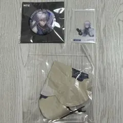 非売品 NTE 缶バッジ Neverness to Everness 白蔵 - メルカリ