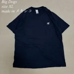 BIGDOGS ビッグドッグス Tシャツ ネイビー メキシコ製 古着
