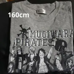 新品 ONE PIECE MUGIWARA PIRATES 長袖Tシャツ 値下げ