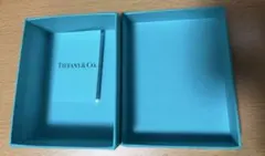 Item thumbnail for item 367121a8-c572-44e7-b7f7-21feb30083c8