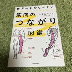 Item thumbnail for item c47764df-0be4-4312-a618-86e2175e69fb