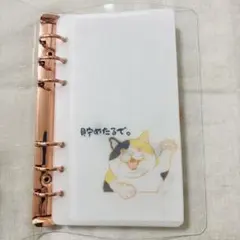 manatsu様 リクエスト 2点 まとめ商品