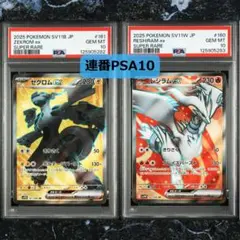 ポケモンカード ゼクロム CHR 195/184 10枚セット まとめ売り ゼクロム(195/184 CHR) | CHR | ドラゴンスター | ポケモンカード