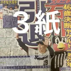 ヤクルトスワローズ　石川雅規　引退　スポニチ 日刊　ディリー　３紙セット
