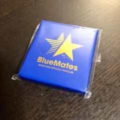 Item thumbnail for item 6d4a551a-80e9-480e-bc45-68f33f5152cb