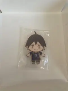 ハイキュー　セガラッキーくじ　D賞　山口忠