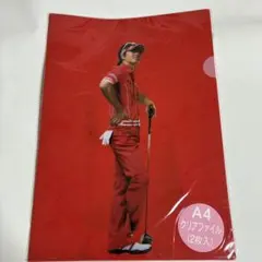 Item thumbnail for item 96ba2ac4-8161-4809-9818-224c1b3bc0d2