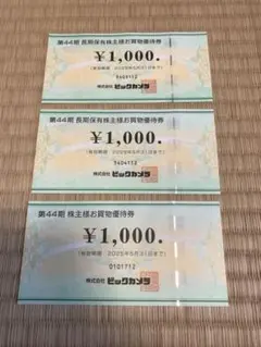 ビックカメラ　株主優待券 3000円（1000円✖️3）