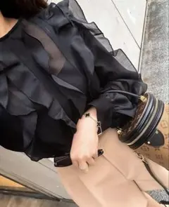 【sheller】シェリエ line sheer frill blouse