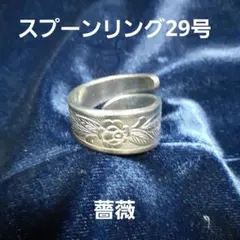 こーじ様 リクエスト 2点 まとめ商品