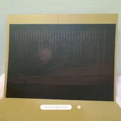 美品 堀文子「桔梗」木版画 直筆サイン入 アート社出版 自然の命を描く