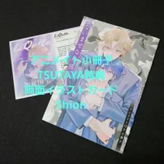 ないまぜな熱情　アニメイト12P小冊子　TSUTAYA特典両面イラストカード