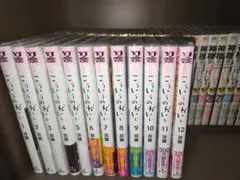 【美品】こうゆうのがいい　全巻セット 2026年最新】こういうのがいい 全巻の人気アイテム - メルカリ