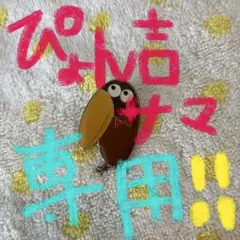 ぴよん吉様 専用 ピンバッジ